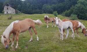 IMG 20250626 WA0078