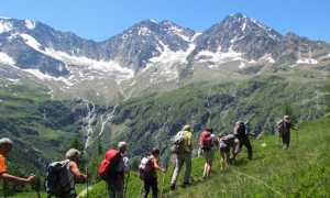 IMG 89171