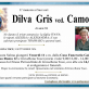 Dilva Gris Ved. Camona